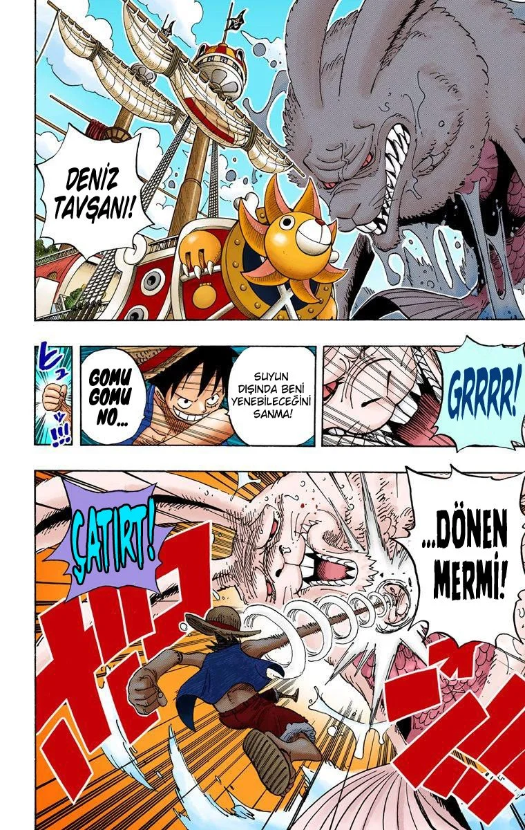 One Piece - Bölüm 490 - Sayfa 15
