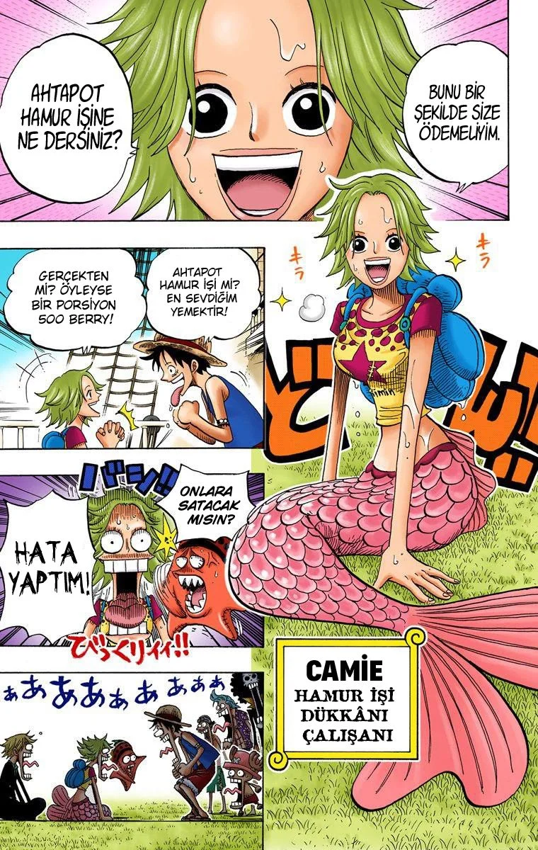 One Piece - Bölüm 490 - Sayfa 18
