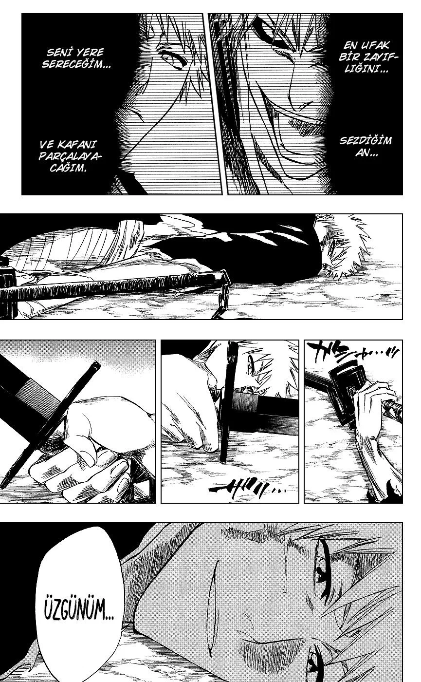 Bleach - Bölüm 222 - Sayfa 13