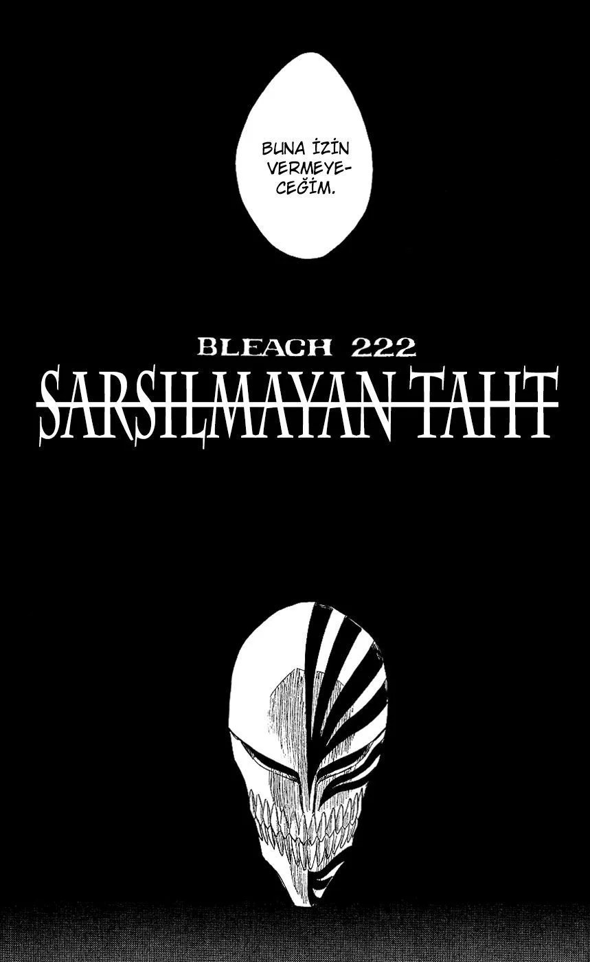 Bleach - Bölüm 222 - Sayfa 14