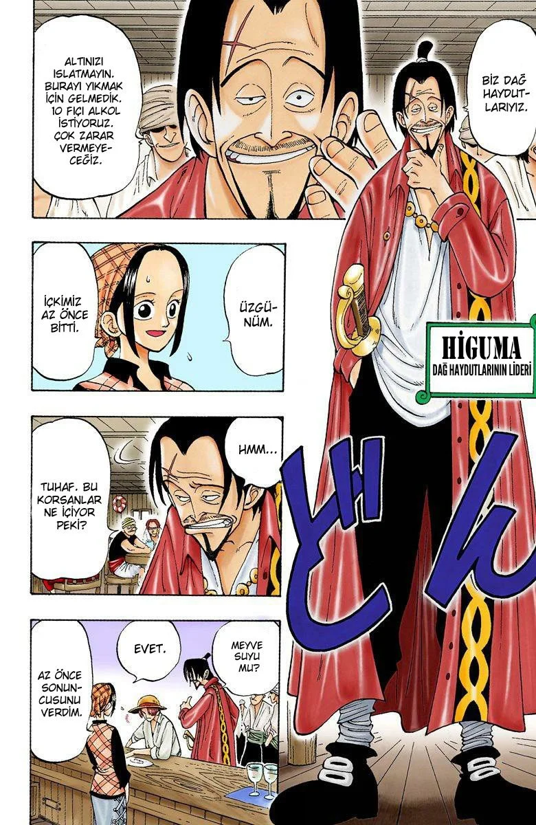 One Piece - Bölüm 1 - Sayfa 13