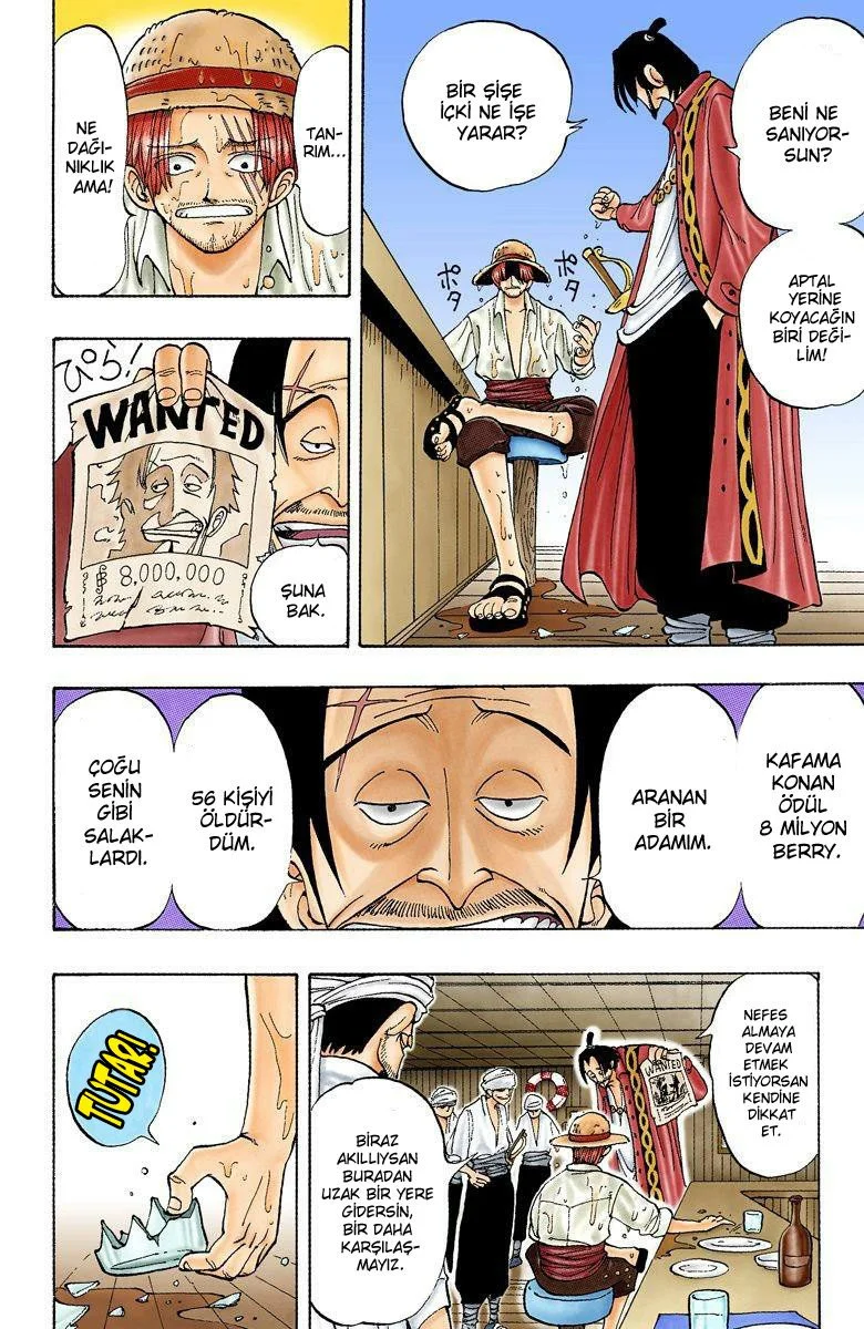 One Piece - Bölüm 1 - Sayfa 15