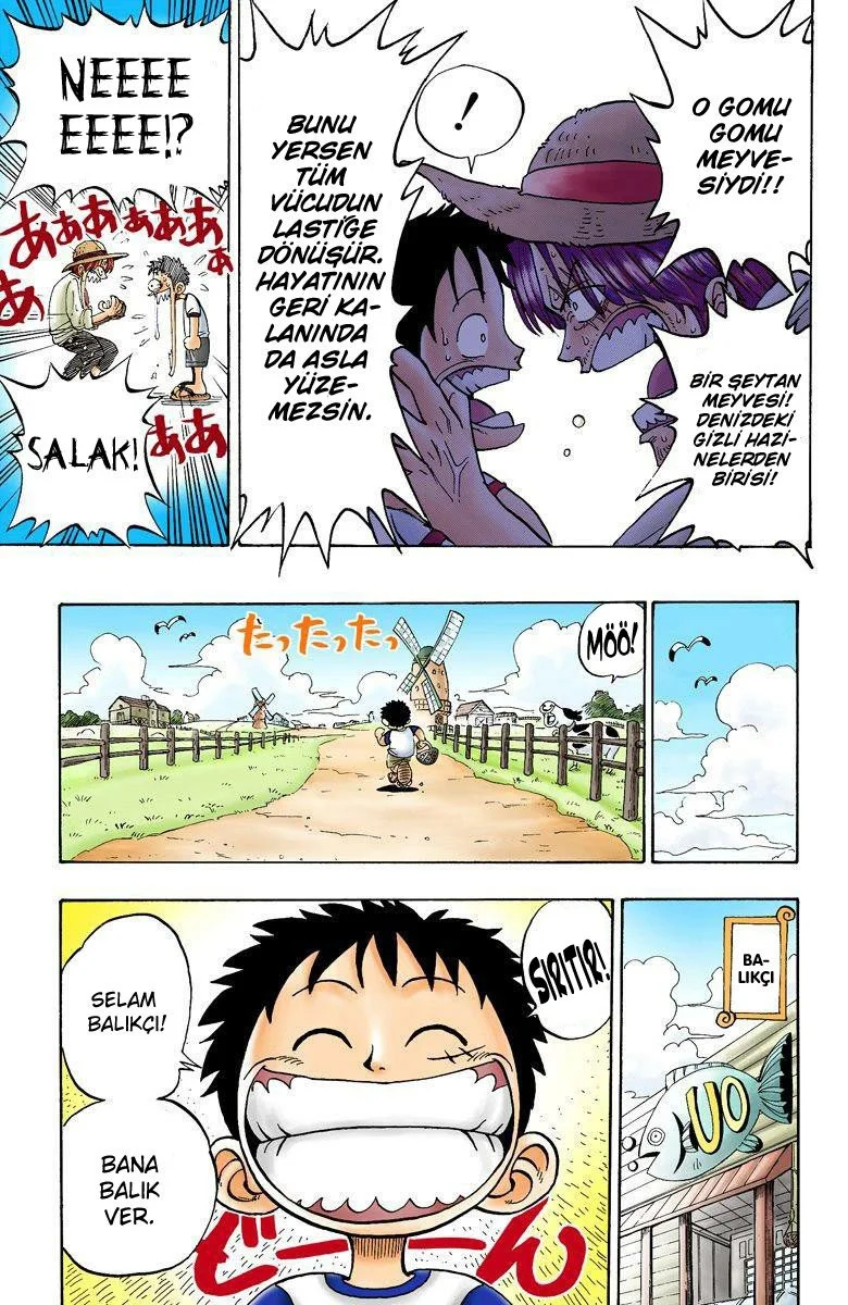 One Piece - Bölüm 1 - Sayfa 20