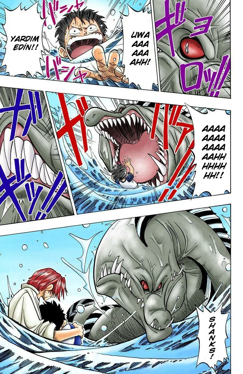 One Piece - Bölüm 1 - Sayfa 40