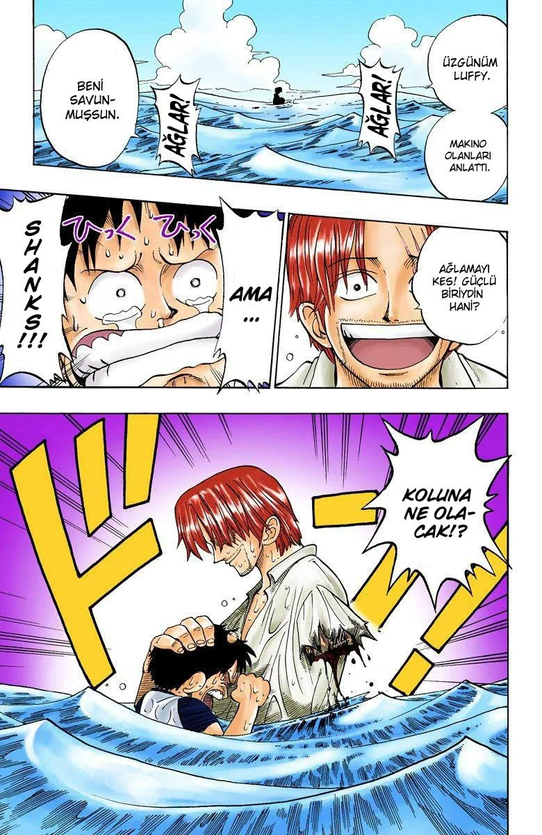 One Piece - Bölüm 1 - Sayfa 42