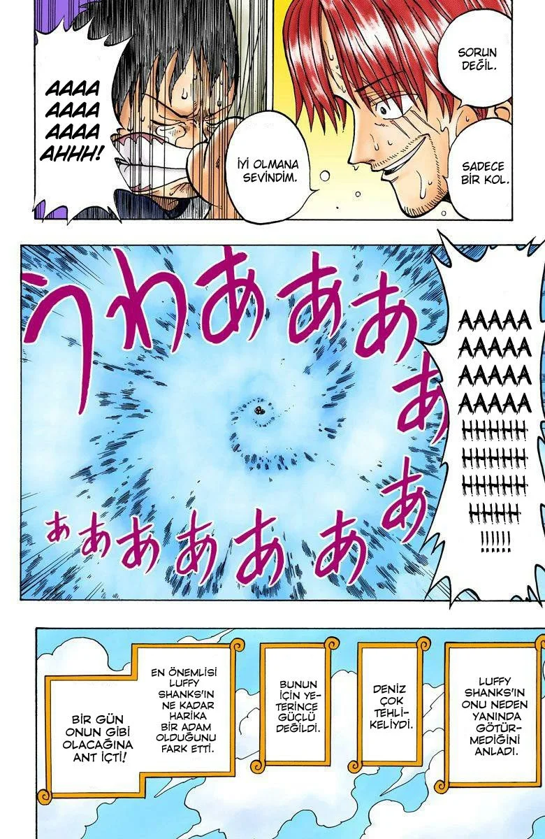 One Piece - Bölüm 1 - Sayfa 43