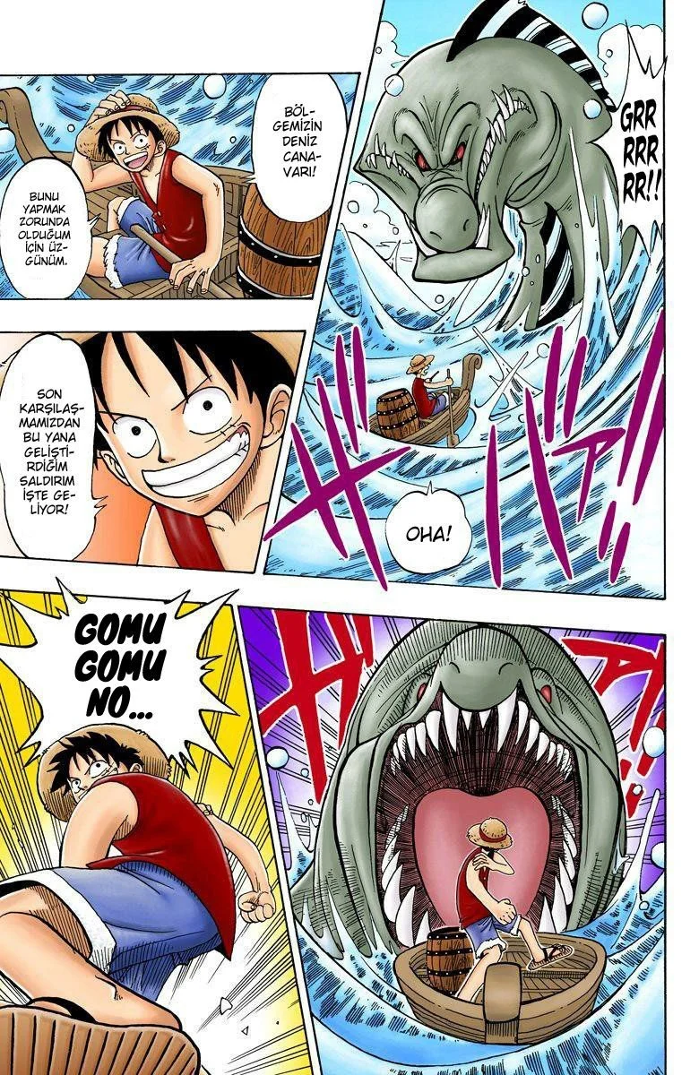 One Piece - Bölüm 1 - Sayfa 48