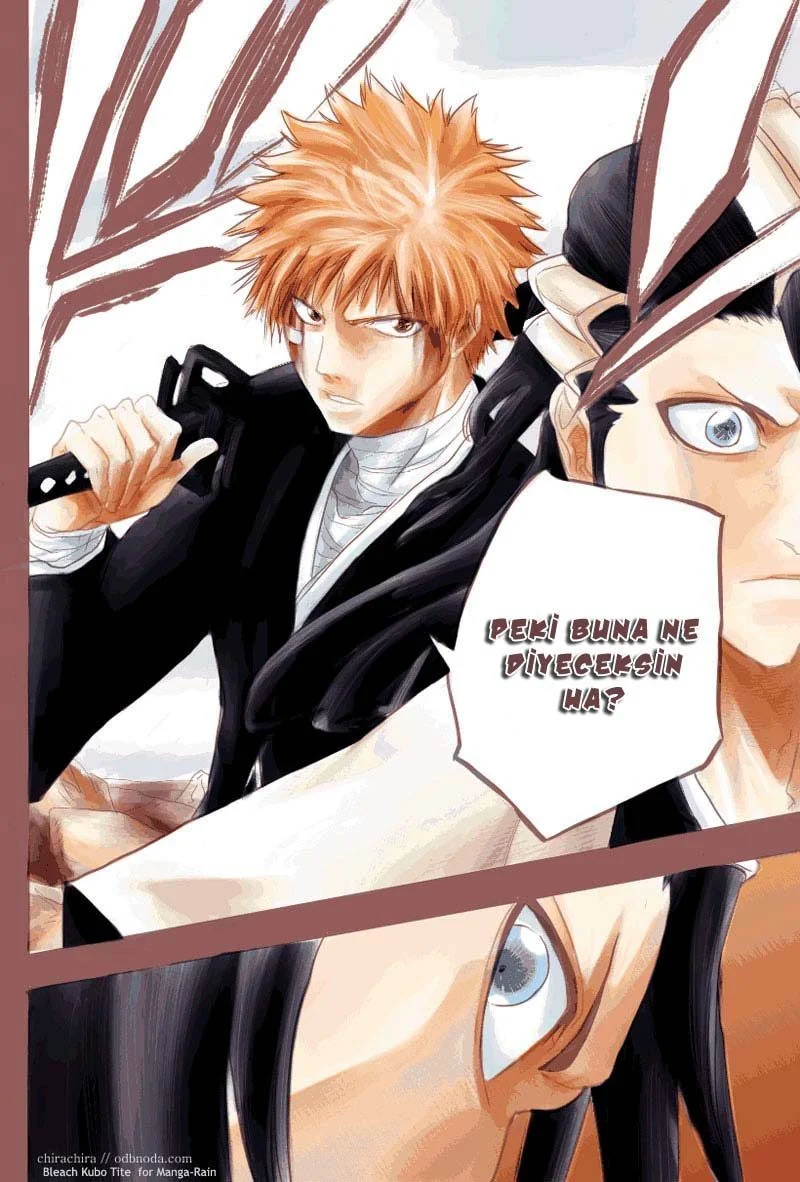 Bleach - Bölüm 164 - Sayfa 19