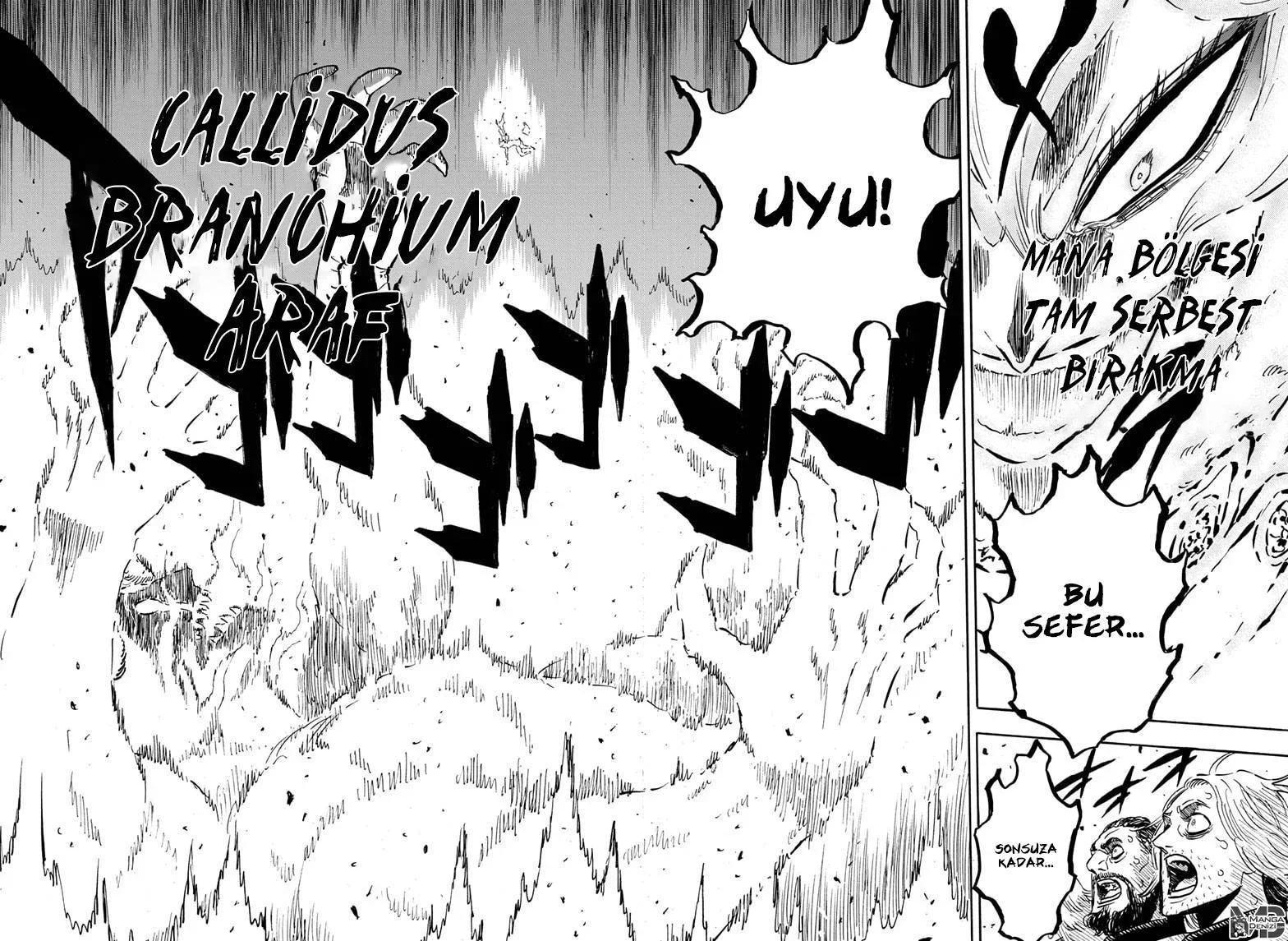Black Clover - Bölüm 275 - Sayfa 14