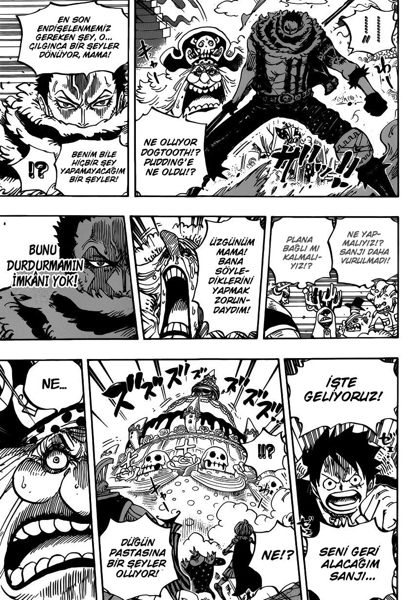 One Piece - Bölüm 862 - Sayfa 14