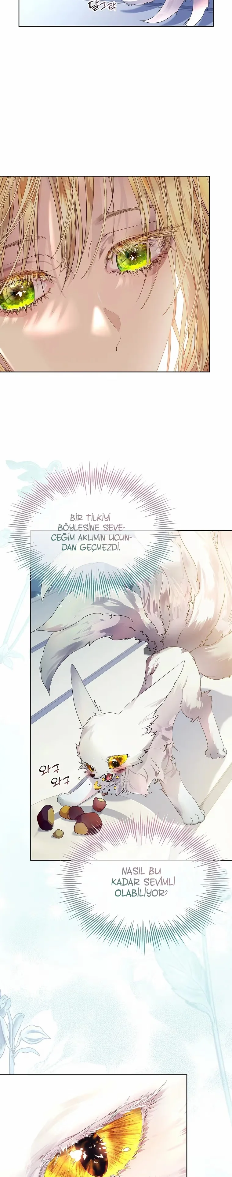 I Raised a Nine-Tailed Fox Wrongly - Bölüm 7 - Sayfa 12