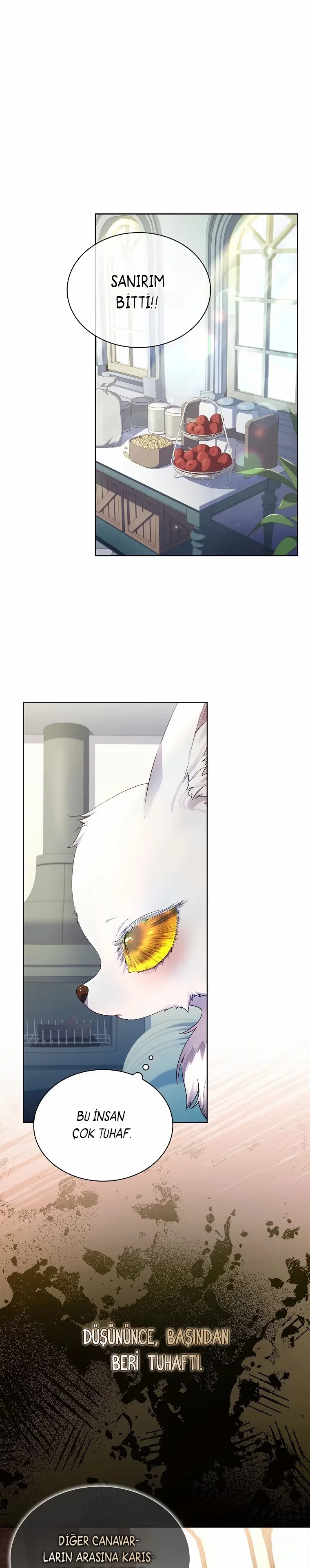 I Raised a Nine-Tailed Fox Wrongly - Bölüm 7 - Sayfa 7