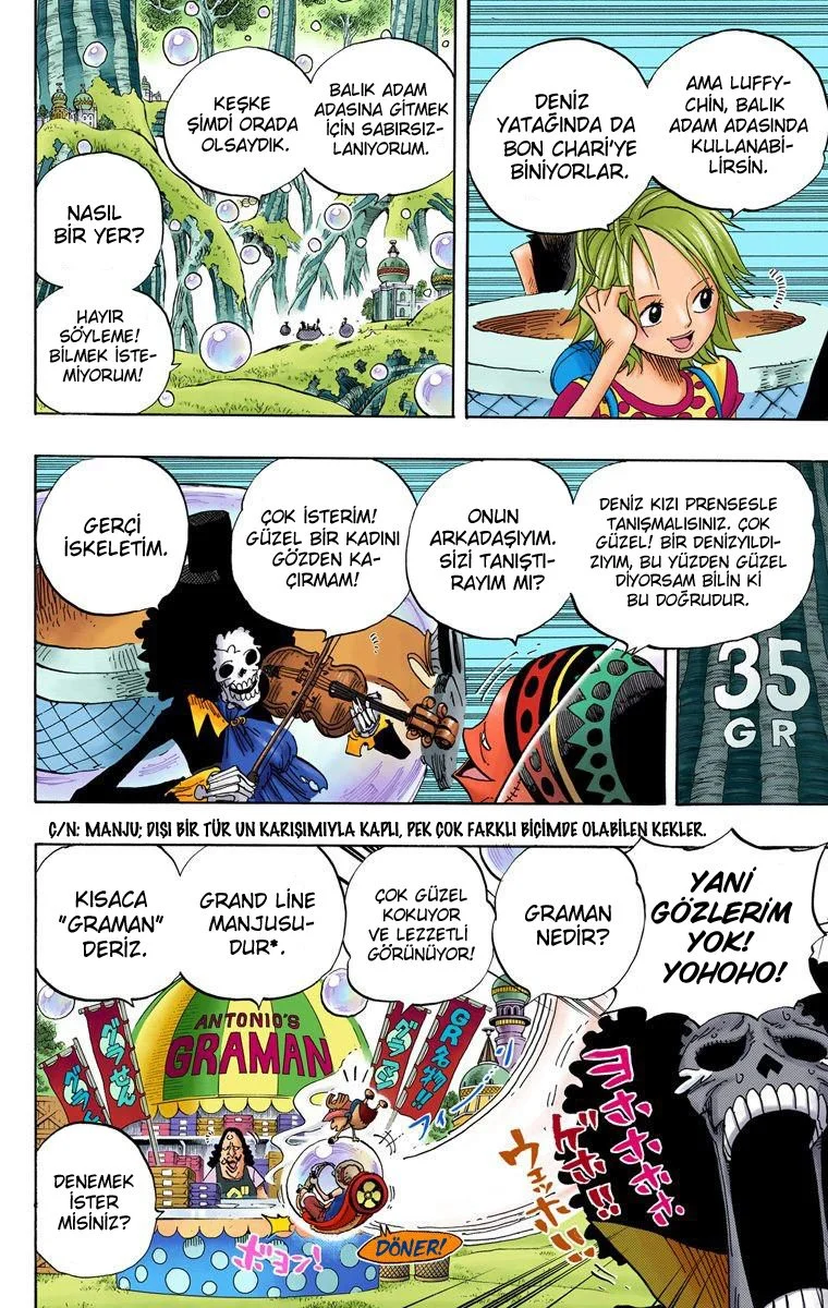 One Piece - Bölüm 497 - Sayfa 10