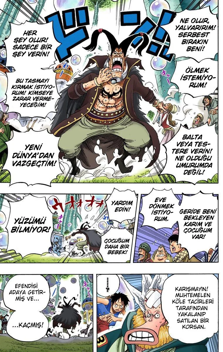 One Piece - Bölüm 497 - Sayfa 13