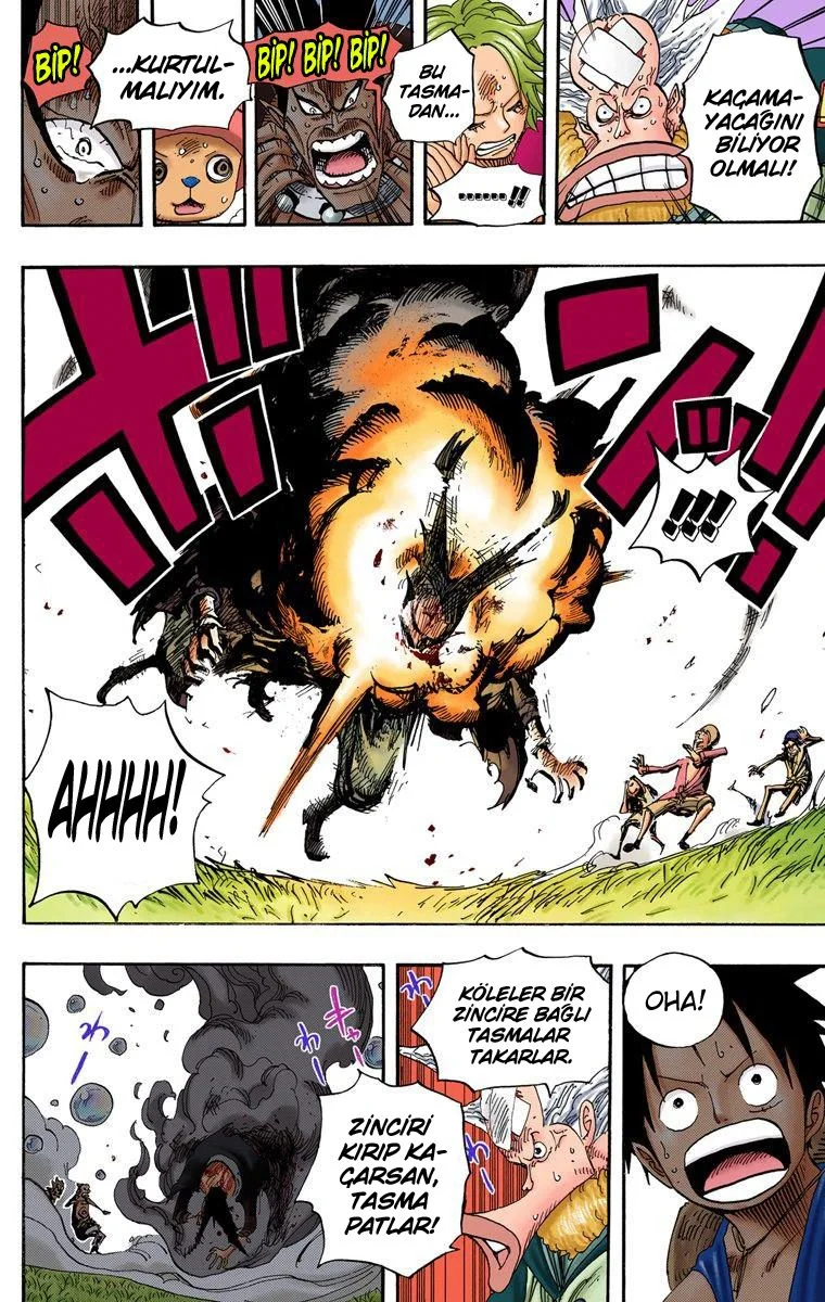 One Piece - Bölüm 497 - Sayfa 14