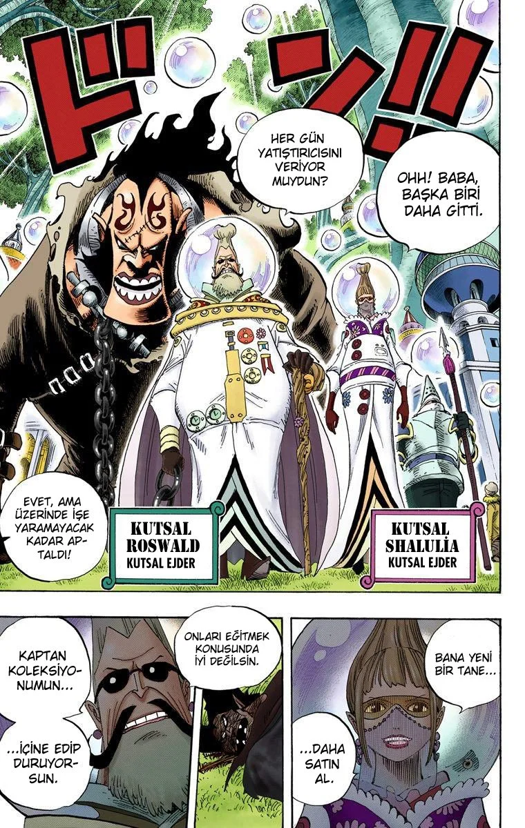 One Piece - Bölüm 497 - Sayfa 17