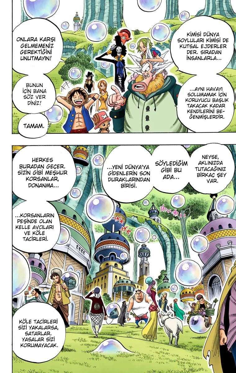 One Piece - Bölüm 497 - Sayfa 4