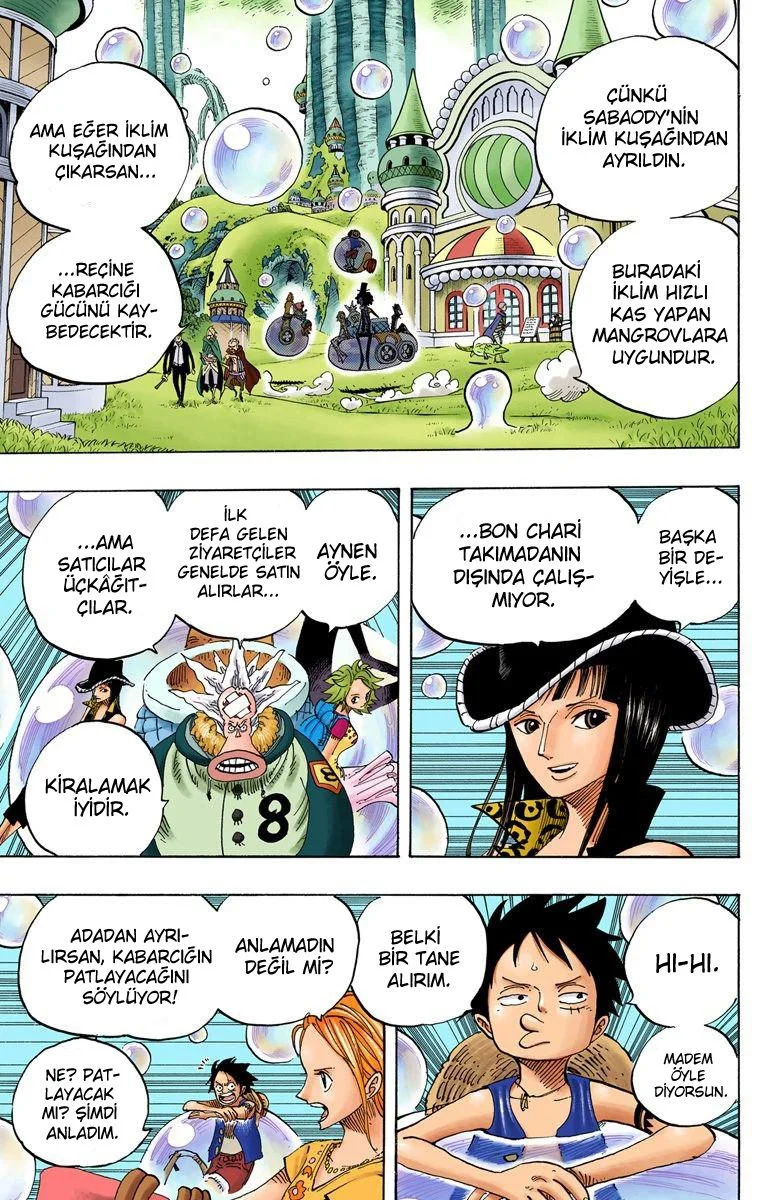 One Piece - Bölüm 497 - Sayfa 9