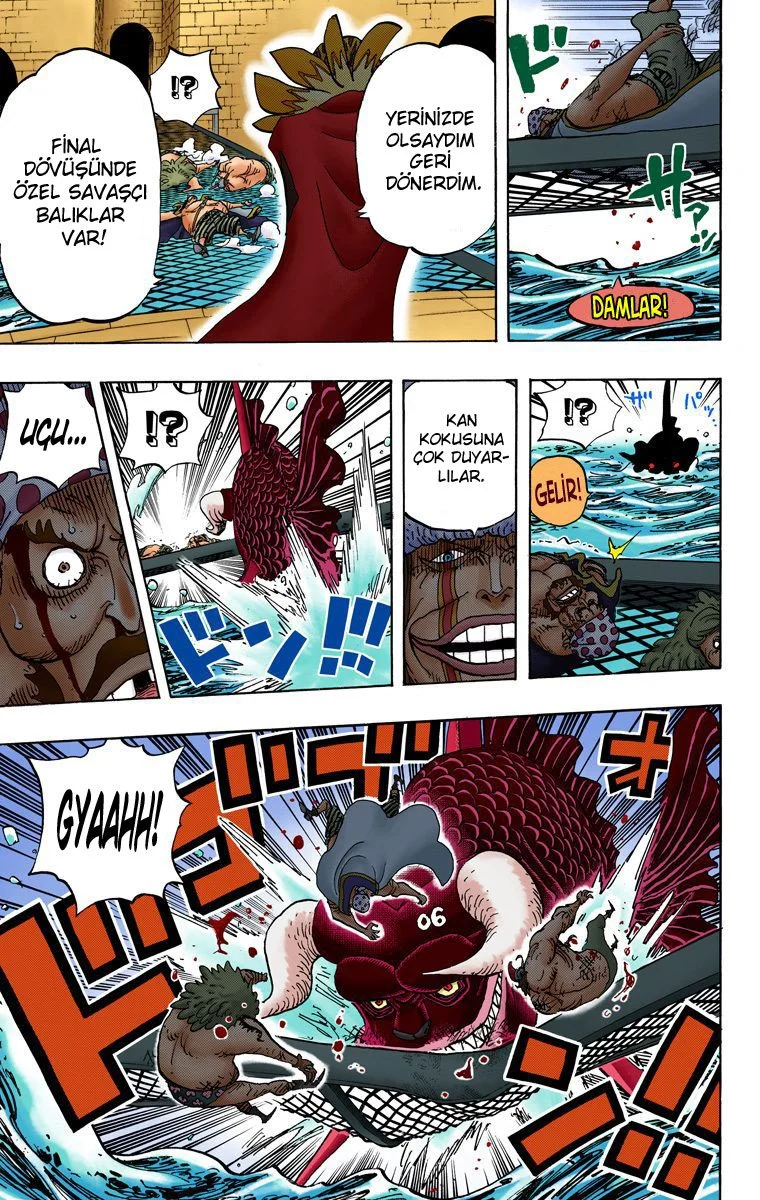One Piece - Bölüm 736 - Sayfa 6