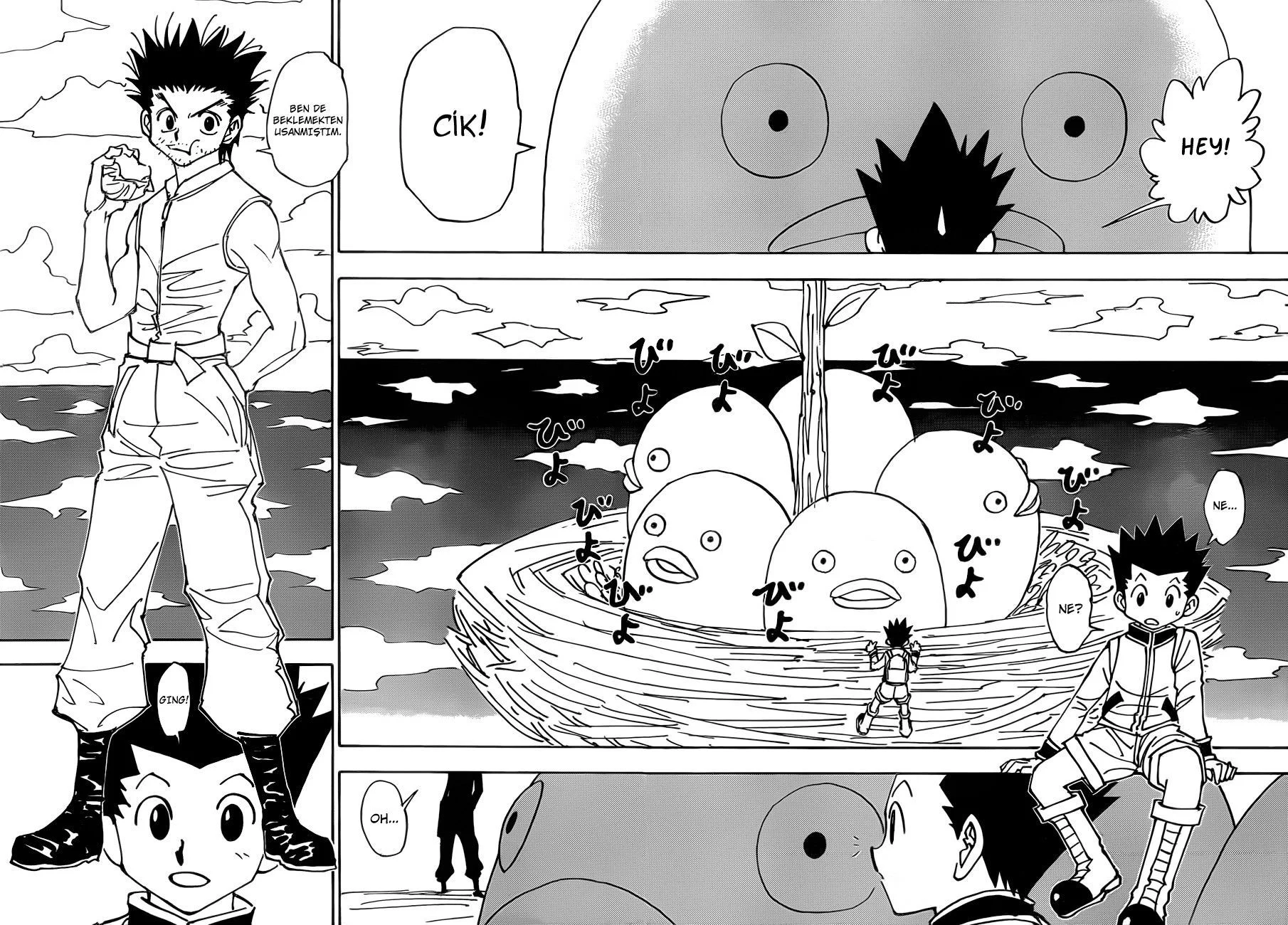 Hunter x Hunter - Bölüm 338 - Sayfa 11