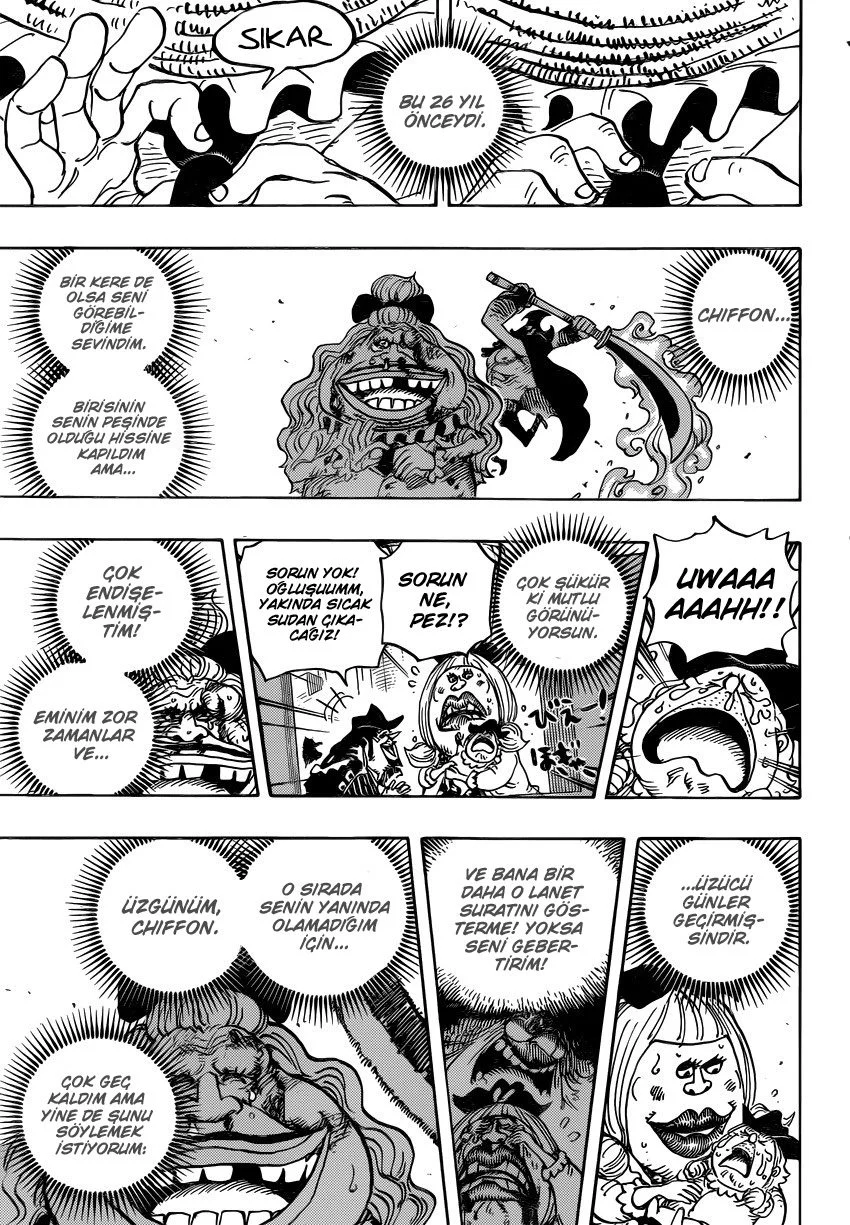 One Piece - Bölüm 887 - Sayfa 13
