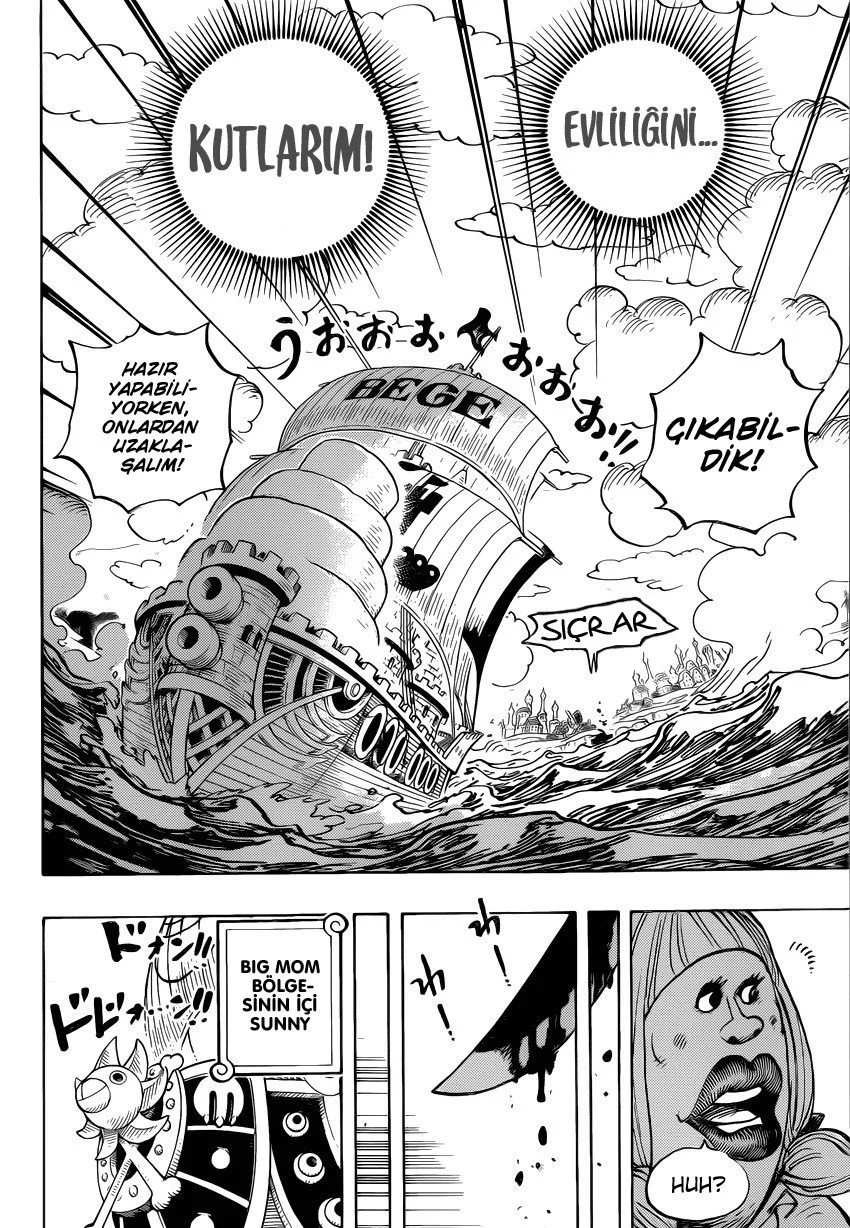 One Piece - Bölüm 887 - Sayfa 14