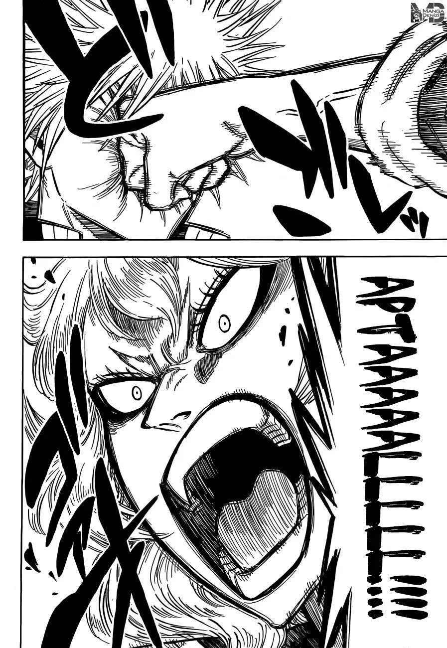Black Clover - Bölüm 107 - Sayfa 17