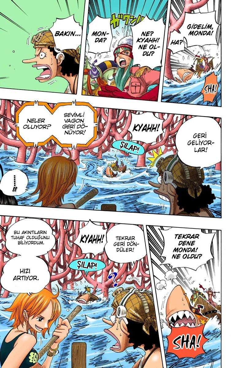 One Piece - Bölüm 308 - Sayfa 5