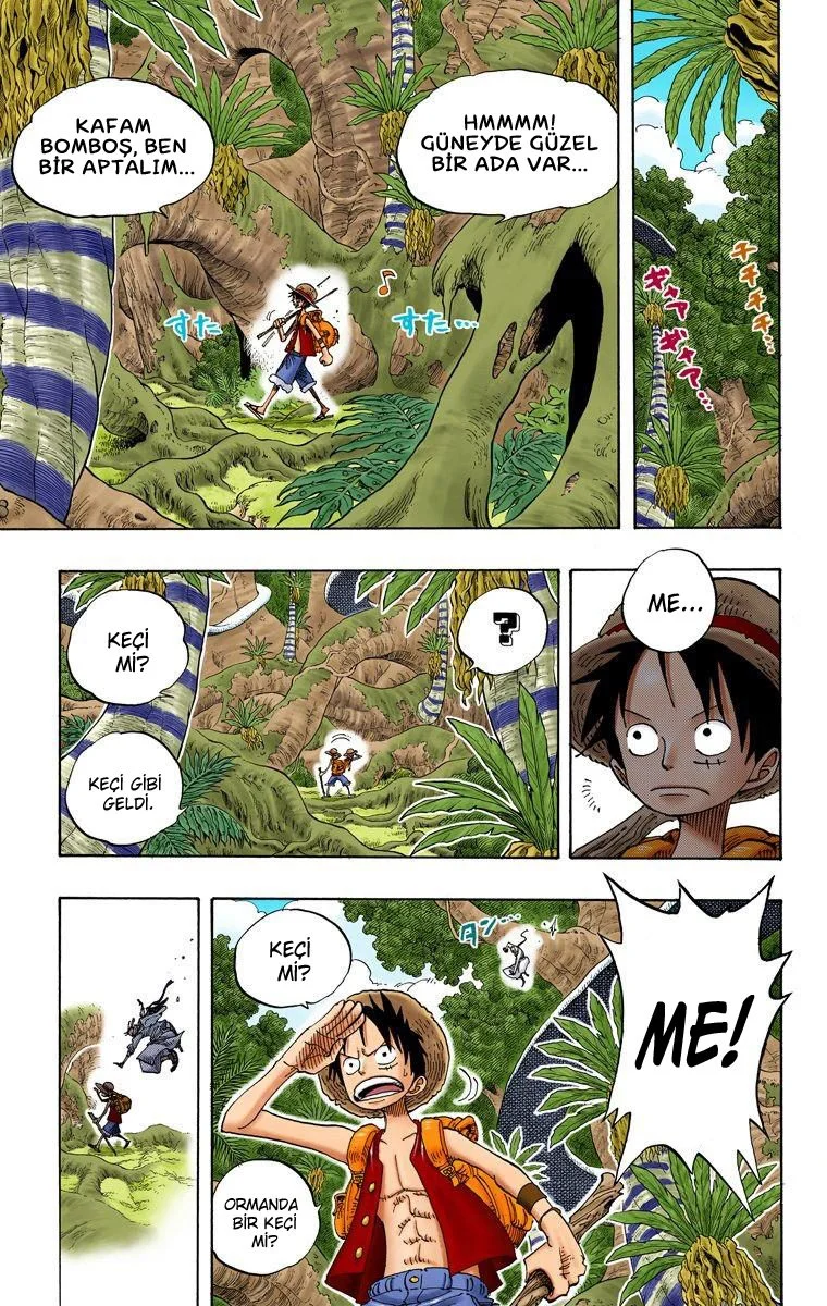 One Piece - Bölüm 257 - Sayfa 17