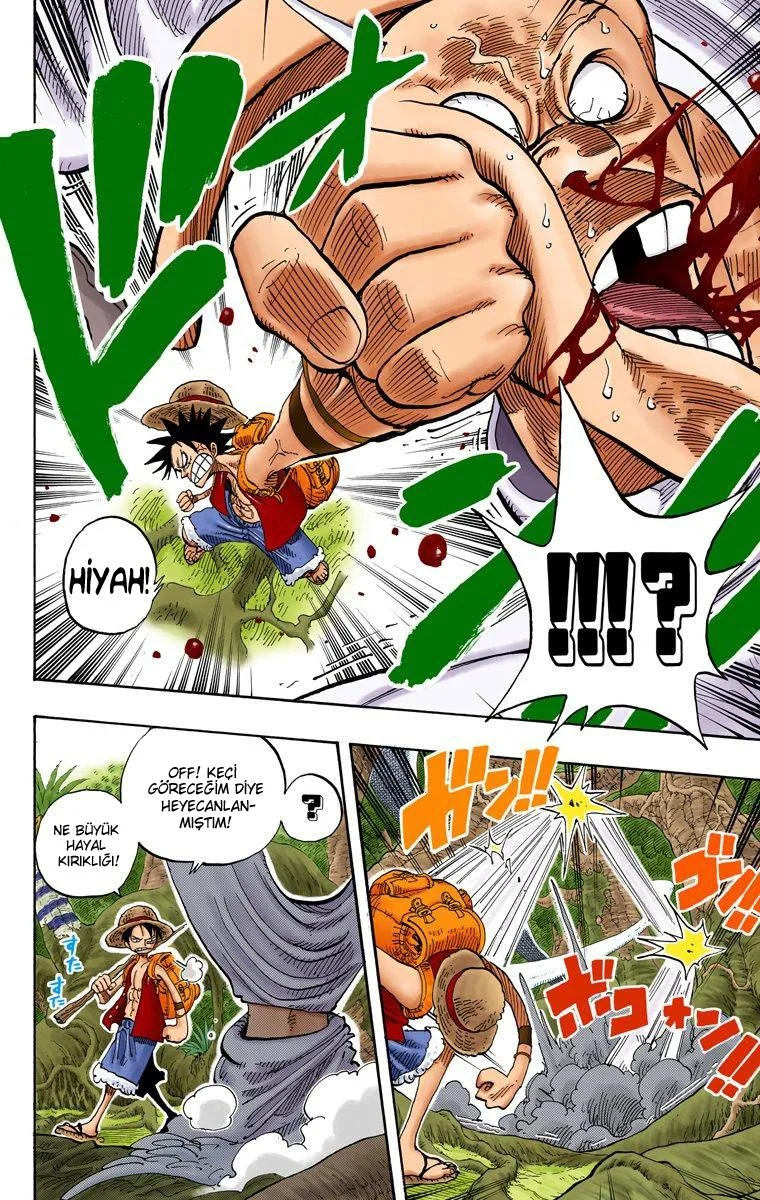 One Piece - Bölüm 257 - Sayfa 18