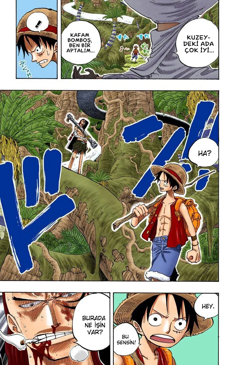 One Piece - Bölüm 257 - Sayfa 19