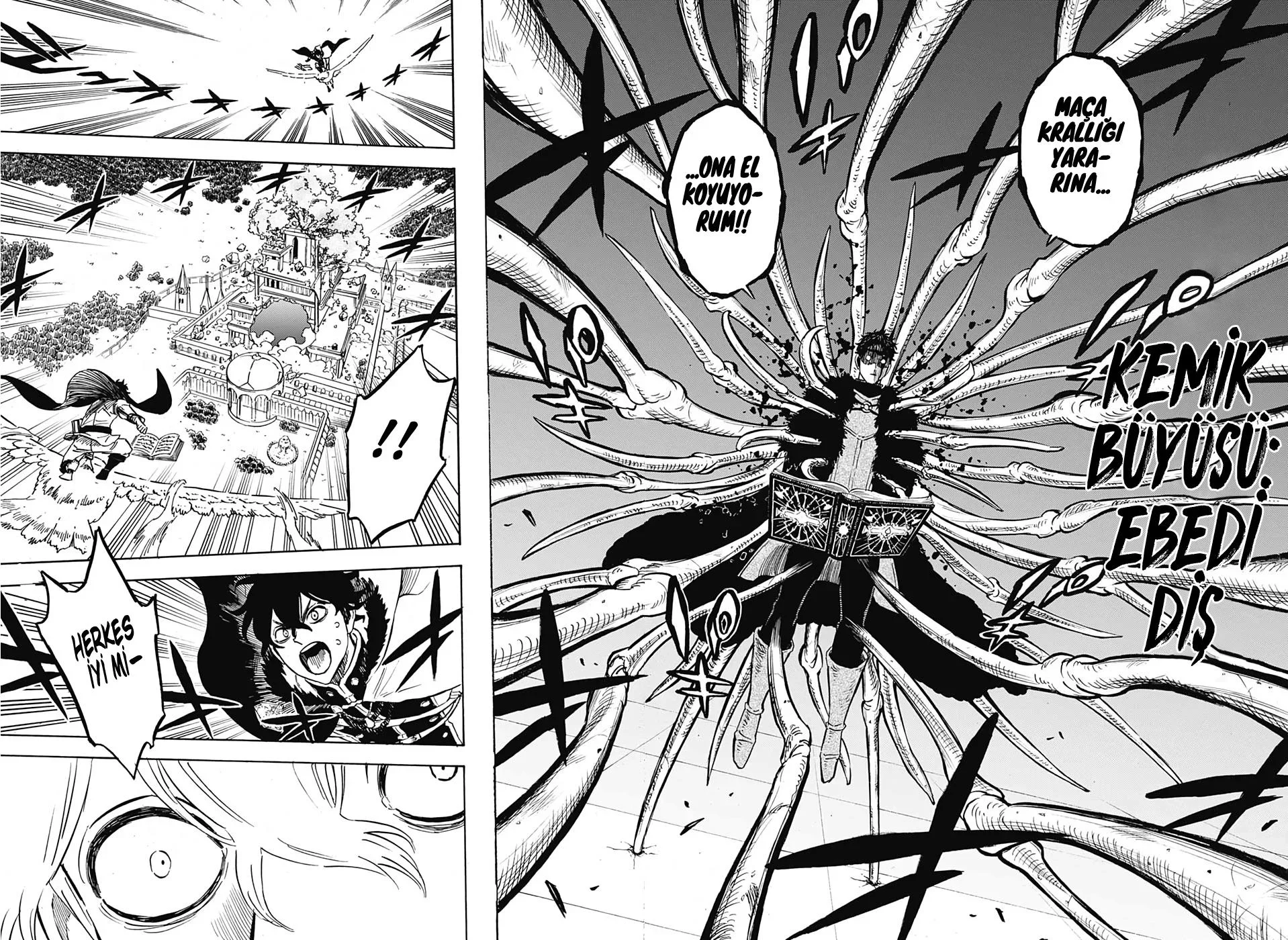 Black Clover - Bölüm 235 - Sayfa 12