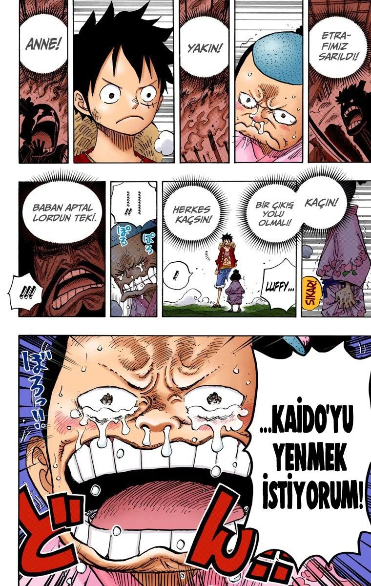 One Piece - Bölüm 819 - Sayfa 10