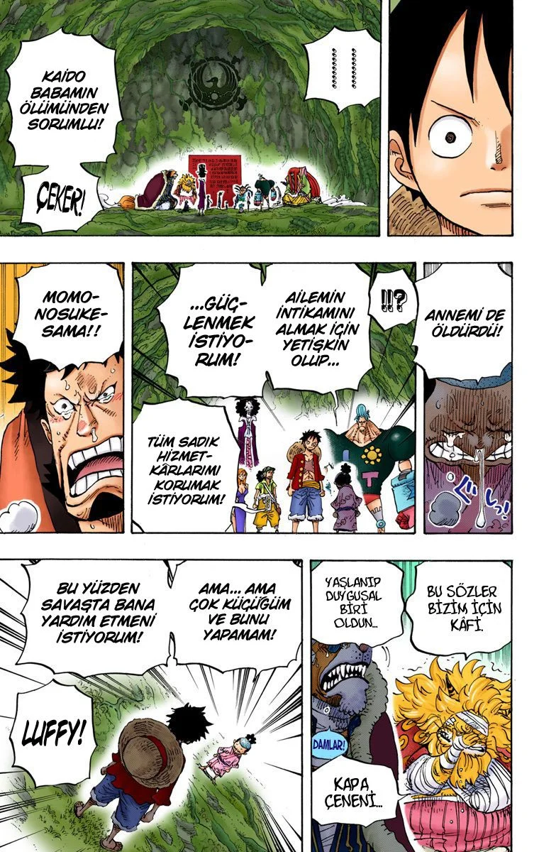 One Piece - Bölüm 819 - Sayfa 11