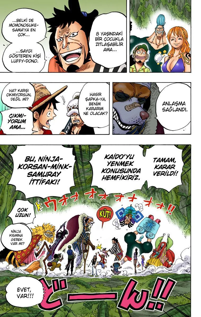 One Piece - Bölüm 819 - Sayfa 13