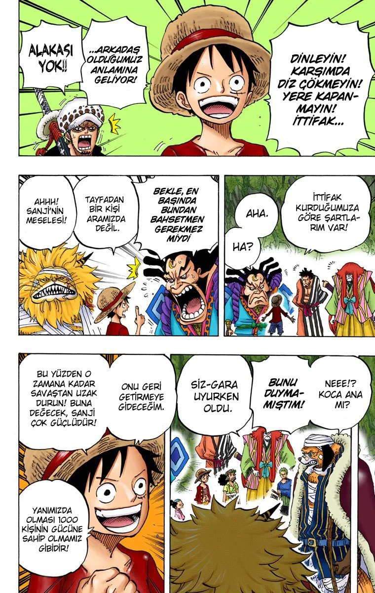 One Piece - Bölüm 819 - Sayfa 14