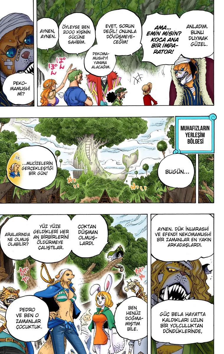 One Piece - Bölüm 819 - Sayfa 15