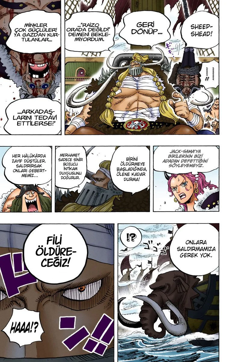 One Piece - Bölüm 819 - Sayfa 17