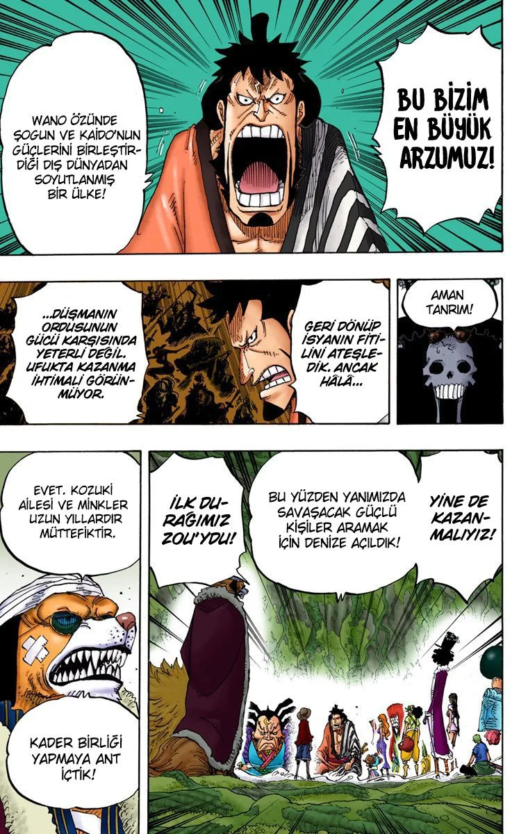 One Piece - Bölüm 819 - Sayfa 5