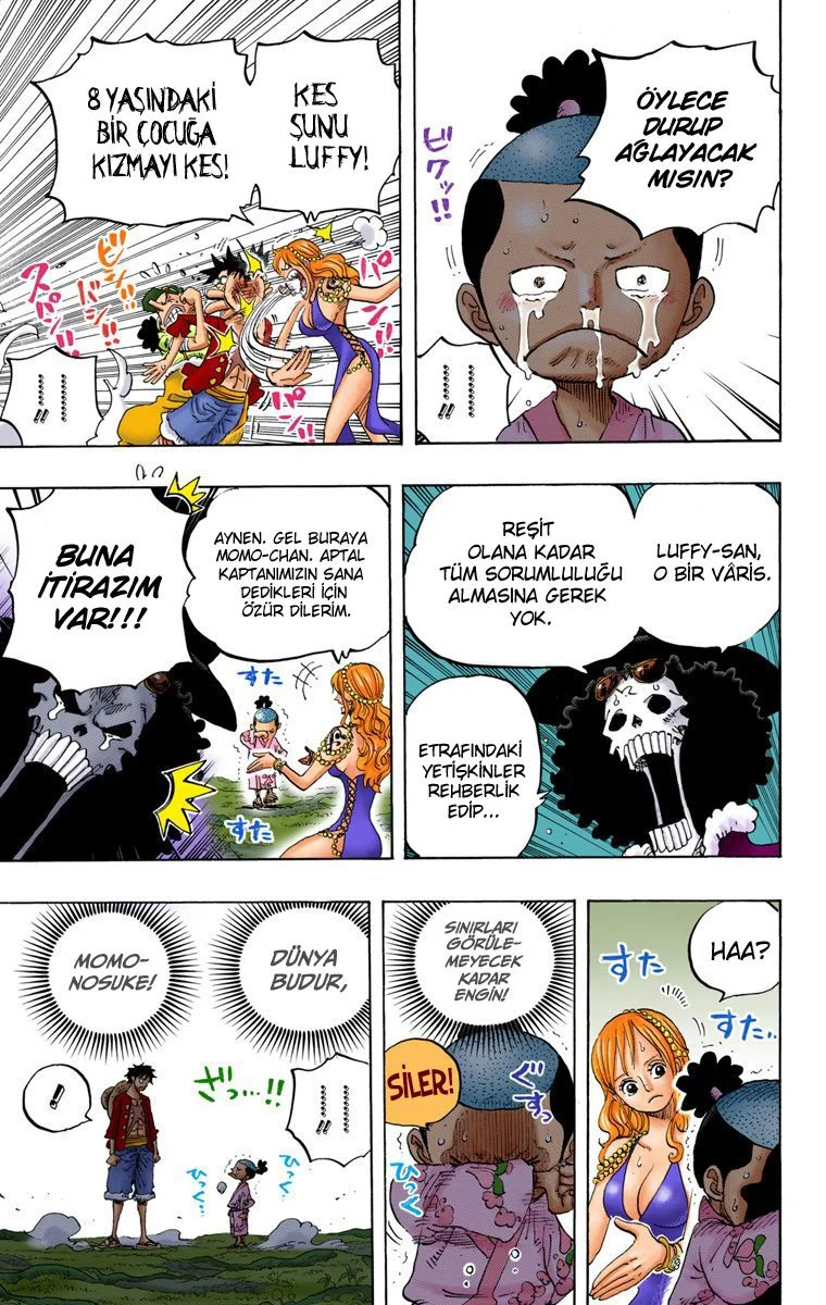 One Piece - Bölüm 819 - Sayfa 9