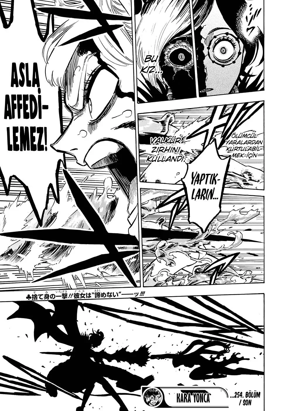 Black Clover - Bölüm 254 - Sayfa 15