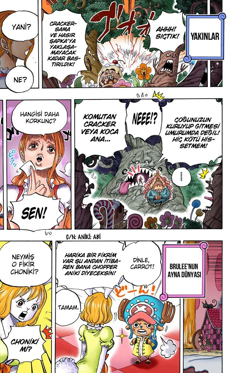 One Piece - Bölüm 838 - Sayfa 11