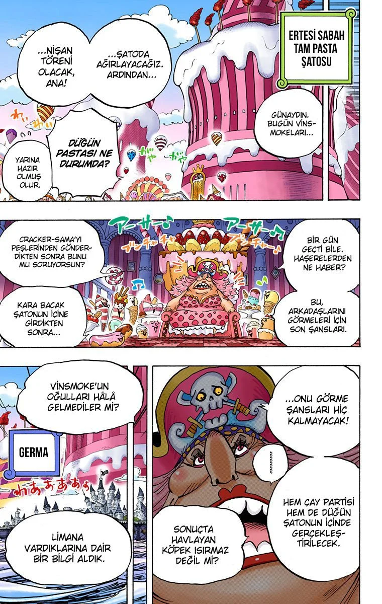 One Piece - Bölüm 838 - Sayfa 13