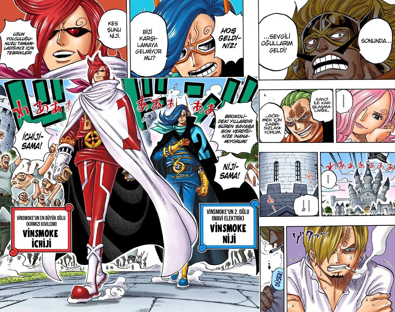One Piece - Bölüm 838 - Sayfa 14