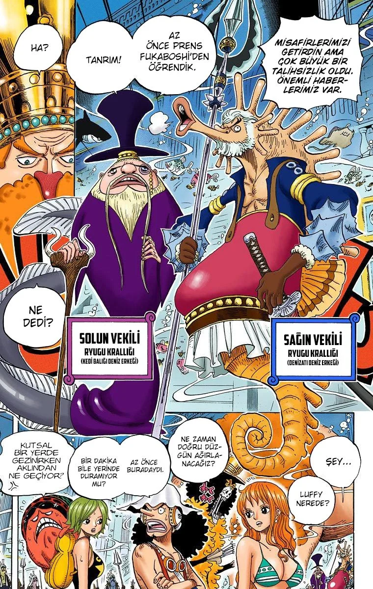 One Piece - Bölüm 612 - Sayfa 13