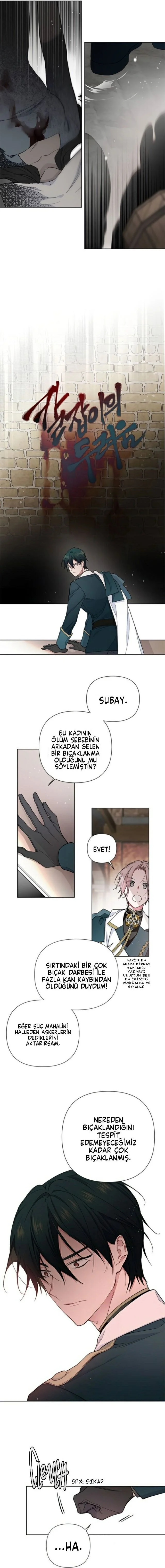 From a Knight to a Lady - Bölüm 6 - Sayfa 12