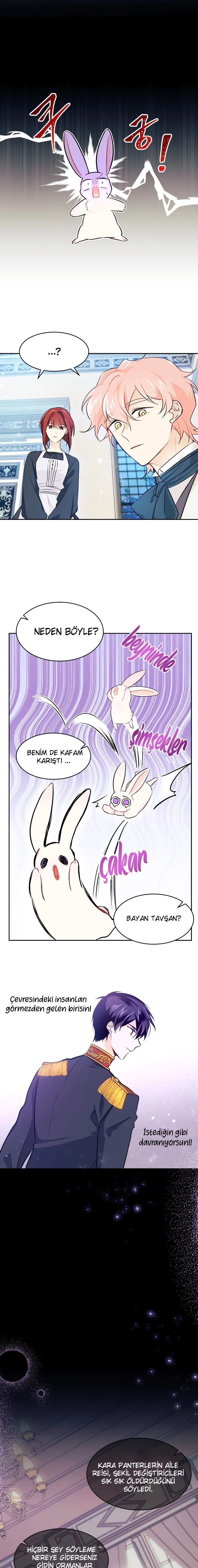 The Symbiotic Relationship Between the Rabbit and the Black Panther - Bölüm 15 - Sayfa 11
