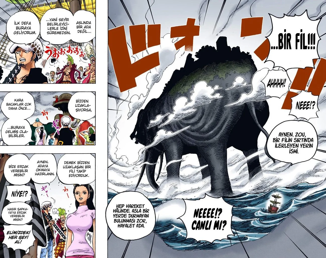 One Piece - Bölüm 802 - Sayfa 13