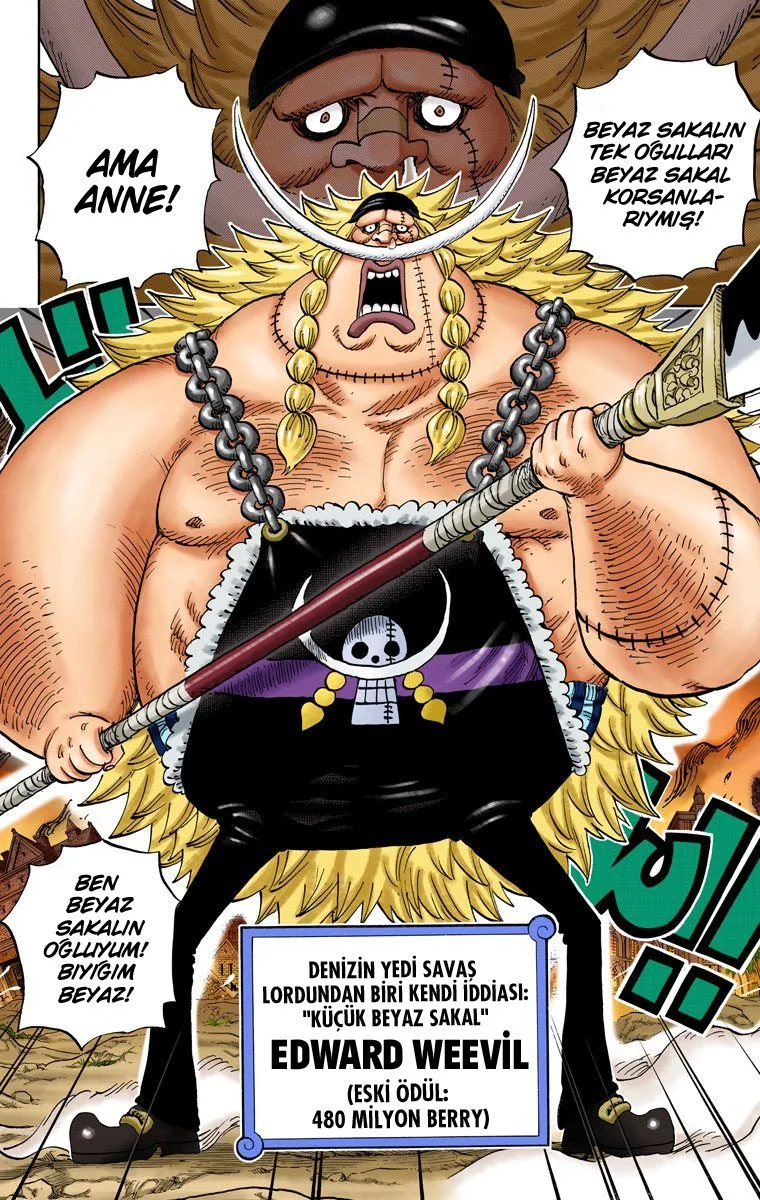 One Piece - Bölüm 802 - Sayfa 7