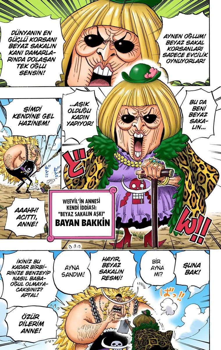 One Piece - Bölüm 802 - Sayfa 8